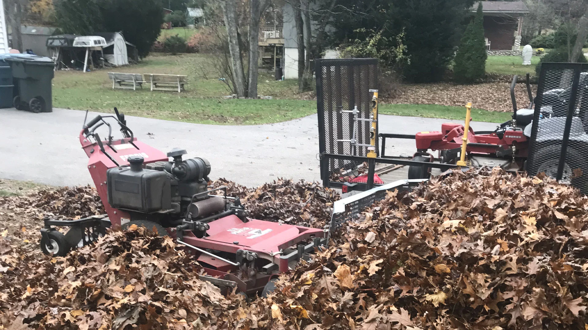 Leaves being collected and removed from a Westerly, RI yard.