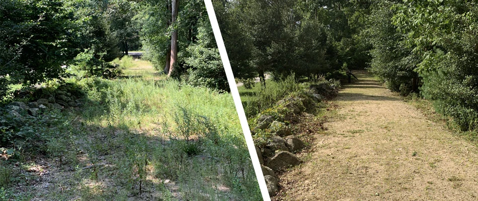 Before and after photo of a distressed property cleanup in Westerly, RI.