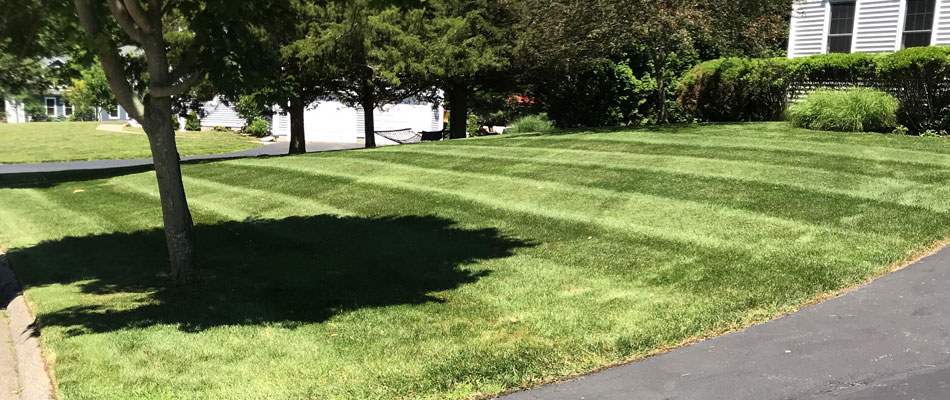 Lawn Care Services in Westerly, Charlestown, & Hopkinton ...