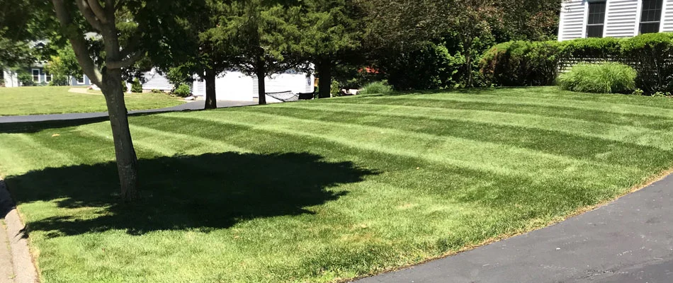 A fertilized healthy green lawn in front of a home in Ashaway, RI.