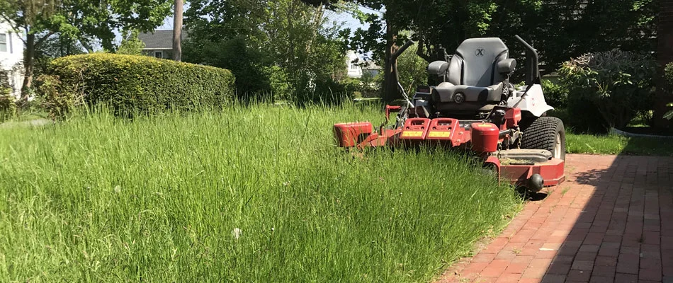 Overgrown lawn with our mower in it at a home in Westerly, RI.